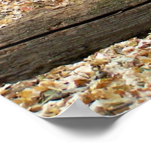 Woodland Window Poster (Hoek)