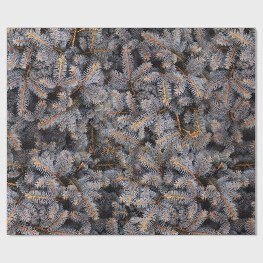 Woodland Winter Blue Spruce Pine Tree Cadeaupapier (Vlak)
