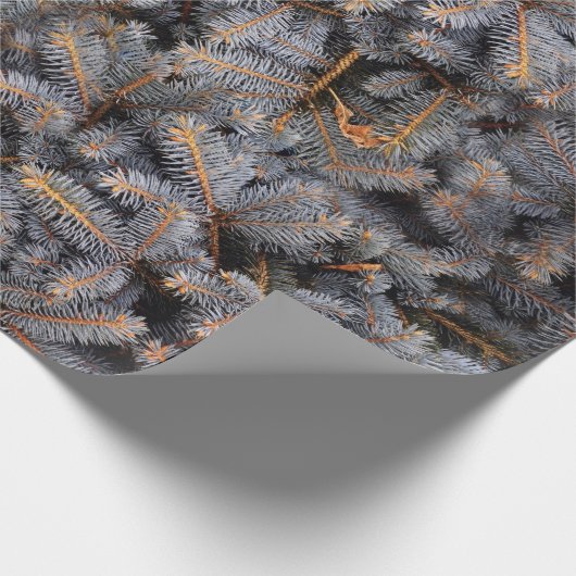 Woodland Winter Blue Spruce Pine Tree Cadeaupapier (Hoek)