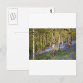 Woodlands Briefkaart (Voorkant / Achterkant)