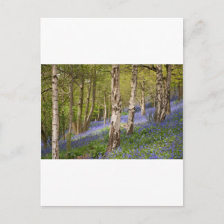 Woodlands Briefkaart