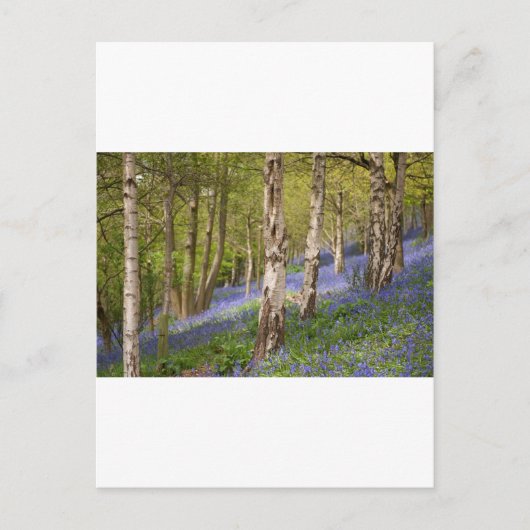 Woodlands Briefkaart (Voorkant)