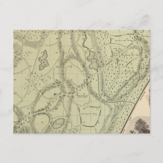 Woodlawn Cemetery Briefkaart (Voorkant)