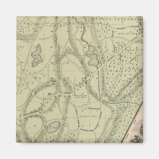 Woodlawn Cemetery Magneet (Voorkant)