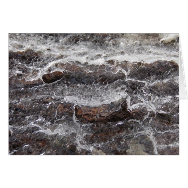 Woodness II (Voorkant Horizontaal)