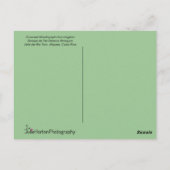 Woodnymph Hummingbird Briefkaart (Achterkant)