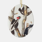 Woodpecker, 1829, ivoor-buikspiraal (druk) keramisch ornament (Rechts)