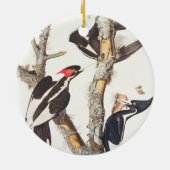 Woodpecker, 1829, ivoor-buikspiraal (druk) keramisch ornament (Achterkant)