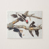 Woodpecker, 1829, ivoor-buikspiraal (druk) legpuzzel (Horizontaal)