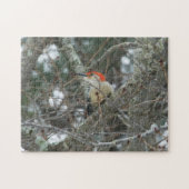 Woodpecker | 252-stukfotopuzzel legpuzzel (Horizontaal)