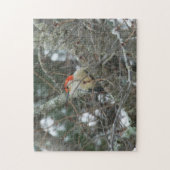 Woodpecker | 252-stukfotopuzzel legpuzzel (Verticaal)