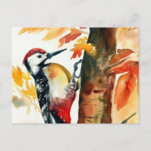 Woodpecker Aquarel Briefkaart
