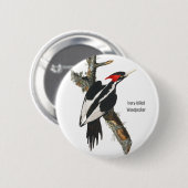 Woodpecker, Audubon, Birding Attire, met ivoren bu Ronde Button 5,7 Cm (Voorkant /achterkant)