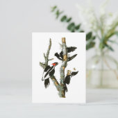 Woodpecker Audubon Birds of America Briefkaart (Staand voorkant)
