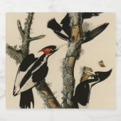 Woodpecker Audubon's Birds of America Bier Etiket (Enkel label)