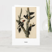 Woodpecker Audubon's Birds of America Kaart (Achterkant)
