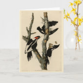 Woodpecker Audubon's Birds of America Kaart (Gele Bloem)