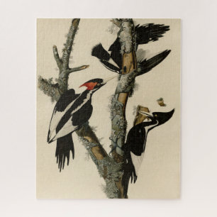 Woodpecker Audubon's Birds of America Legpuzzel