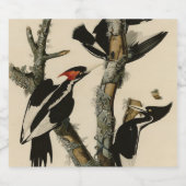 Woodpecker Audubon's Birds of America Sparkling Wijnetiket (Enkel label)