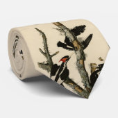 Woodpecker Audubon's Birds of America Stropdas (Opgerold)