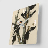 Woodpecker Audubon's Birds of America Vierkante Klok (Hoek)
