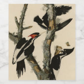 Woodpecker Audubon's Birds of America Wijn Etiket (Enkel label)