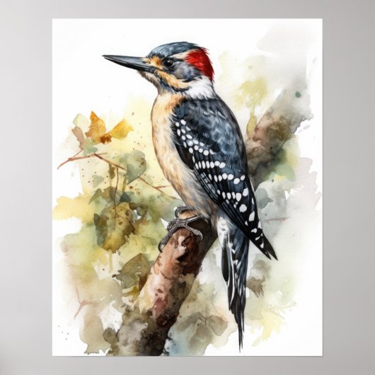 Woodpecker Bird Art Print Poster (Voorkant)