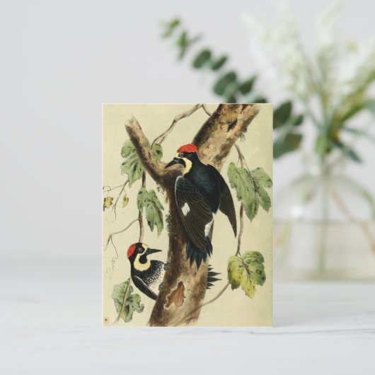  Woodpecker Bird Briefkaart (Staand voorkant)