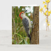 Woodpecker Bird Kaart (Gele Bloem)