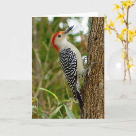 Woodpecker Bird Kaart (Gele Bloem)