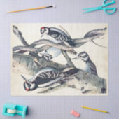  Woodpecker Bird Parchment Decoupage Natuur Tissuepapier (Craft)