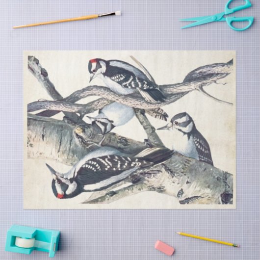  Woodpecker Bird Parchment Decoupage Natuur Tissuepapier (Craft)