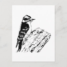 Woodpecker Briefkaart