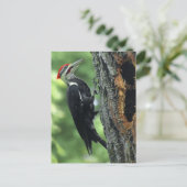 Woodpecker Briefkaart (Staand voorkant)