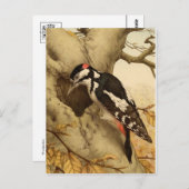 Woodpecker Briefkaart (Voorkant / Achterkant)