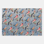 Woodpecker Bullfinch Blauwe Vogel Eerste Winter Sn Inpakpapier Vel (Voorkant 2)