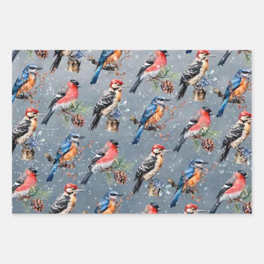 Woodpecker Bullfinch Blauwe Vogel Eerste Winter Sn Inpakpapier Vel (Voorkant)
