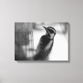 Woodpecker Canvas Afdruk (Voorkant)