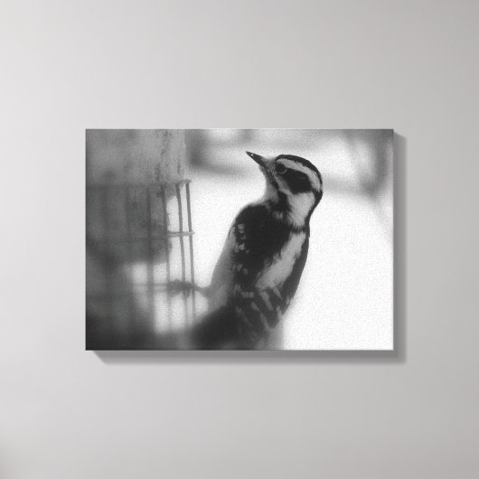 Woodpecker Canvas Afdruk (Voorkant)