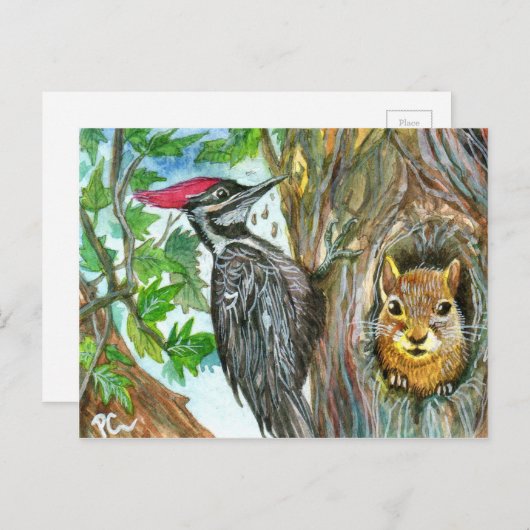 Woodpecker en Squirrel Briefkaart (Voorkant / Achterkant)
