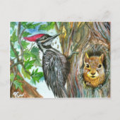 Woodpecker en Squirrel Briefkaart (Voorkant)