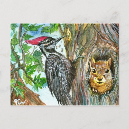 Woodpecker en Squirrel Briefkaart (Voorkant)