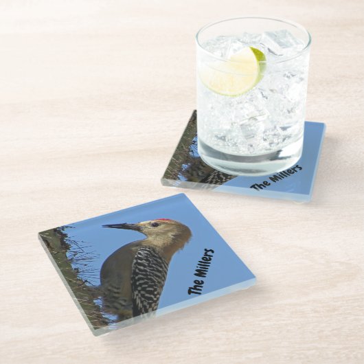 Woodpecker Foto Familienaam Southwest Desert Bird Glazen Onderzetter (Schuin)