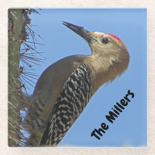 Woodpecker Foto Familienaam Southwest Desert Bird Glazen Onderzetter (Voorkant)