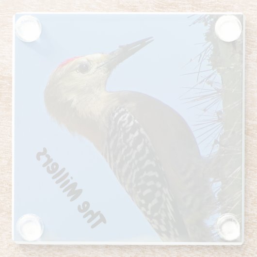 Woodpecker Foto Familienaam Southwest Desert Bird Glazen Onderzetter (Achterkant)