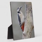 Woodpecker Fotoplaat (Zijkant)
