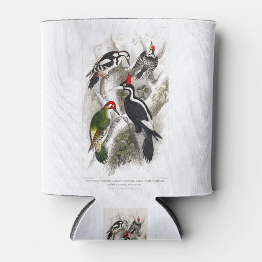 Woodpecker, Green Woodpecker, Woodpecker Bird Blikjeskoeler (Voorkant)