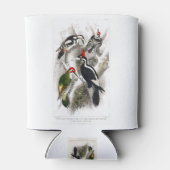 Woodpecker, Green Woodpecker, Woodpecker Bird Blikjeskoeler (Achterkant)