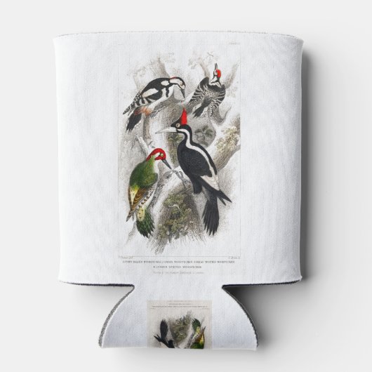 Woodpecker, Green Woodpecker, Woodpecker Bird Blikjeskoeler (Achterkant)