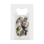 Woodpecker, Green Woodpecker, Woodpecker Bird Creditkaart Flessenopener (Voorkant)